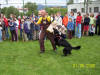 100_2643.jpg (309535 bajt)