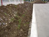 Obrazok 011.jpg (701654 bajt)