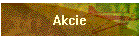 Akcie