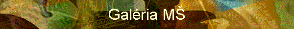 Galria M