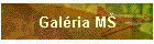 Galria M