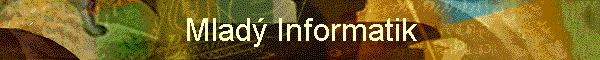 Mlad Informatik