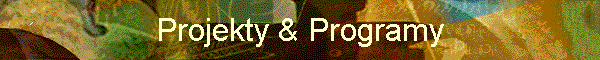 Projekty & Programy