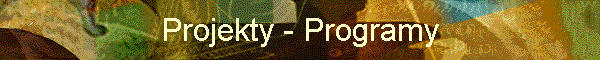 Projekty - Programy