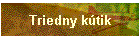 Triedny ktik